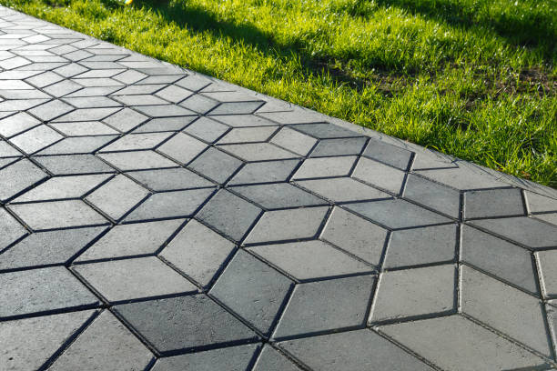 Best Custom Driveway Pavers  in Princess Anne, MD