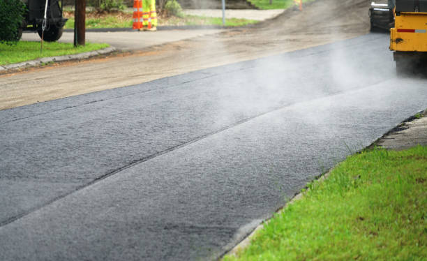 Best Professional Driveway Pavers  in Princess Anne, MD